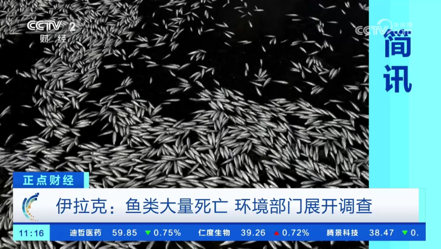 京北方：目前未与DeepSeek公司合作,澳门彩开奖结果2025开奖记录查询表下载,创新典义解读_优选版V7.87